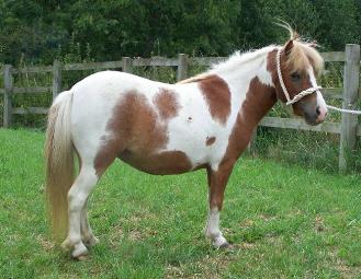 Click for larger image